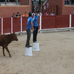 foto de los novillos